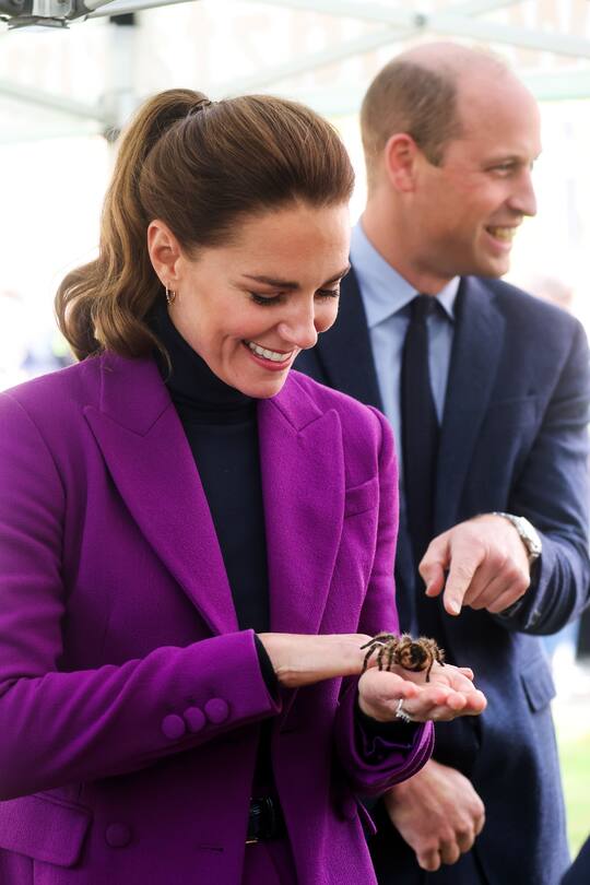 LONDONDERRY, NORTHERN IRELAND - SEPTEMBER 29: Prince William, Duke of Cambridge observes as Catherine, Duchess of Cambridge handles a tarantula called Charlotte from Kidz Farm during a tour of the Ulster University Magee Campus on September 29, 2021 in Londonderry, Northern Ireland. (Photo by Pool/Samir Hussein/WireImage)