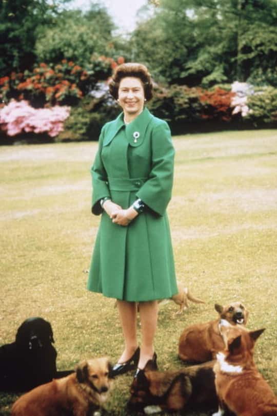 Queen Elizabeth und ihre Hunde