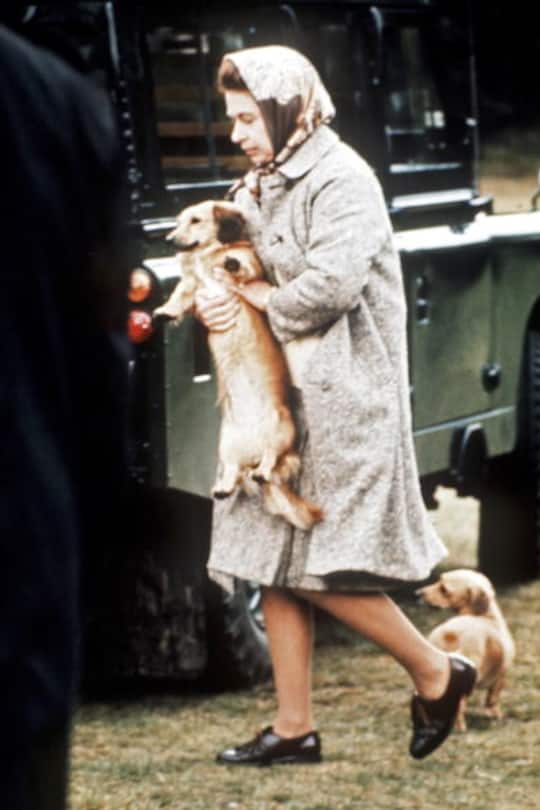 Queen Elizabeth und ihre Hunde