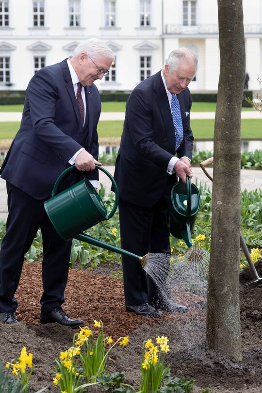 King Charles III. und Frank-Walter Steinmeier beim Gärtnern.