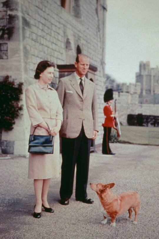 Queen Elizabeth und ihre Hunde