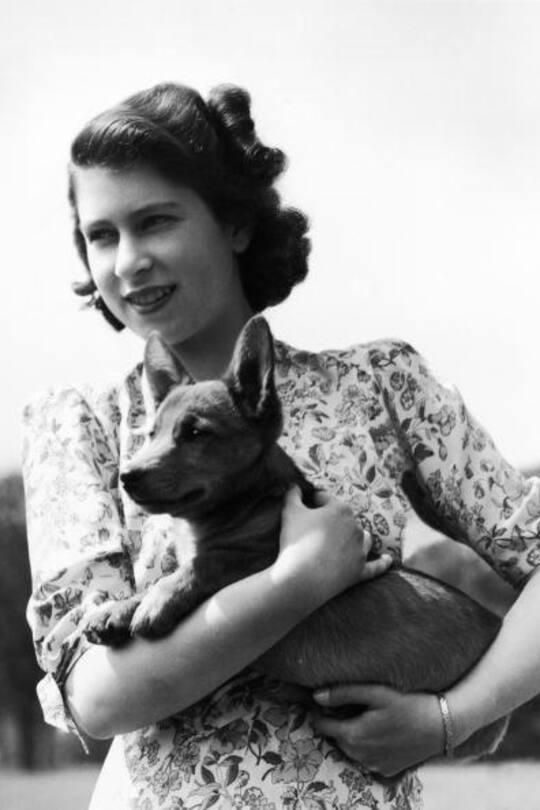 Queen Elizabeth und die Corgis
