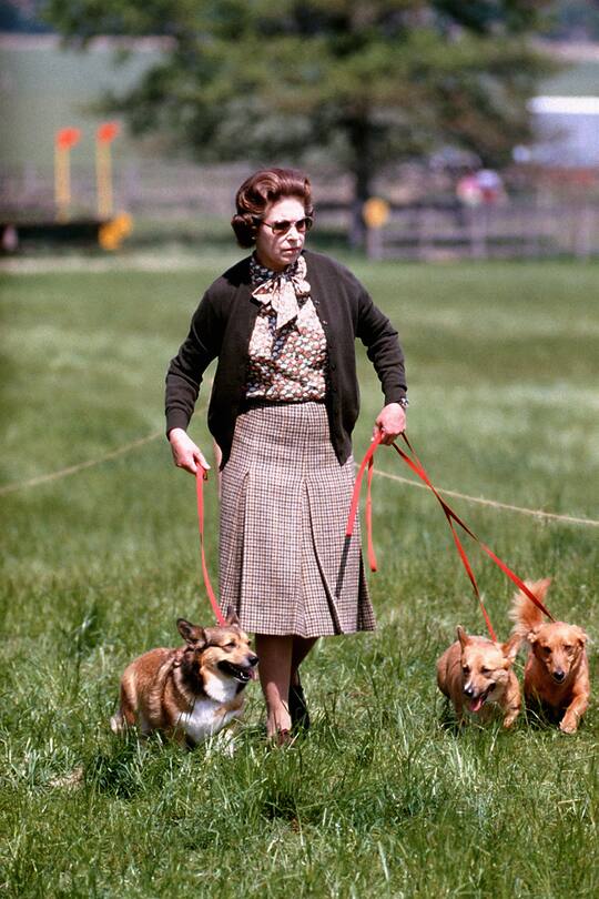 Queen Elizabeth II with some of her corgis walking the Cross Country course during the second day of the Windsor Horse Trials. (Photo by PA Images via Getty Images)