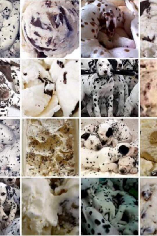 Instatrend entweder oder