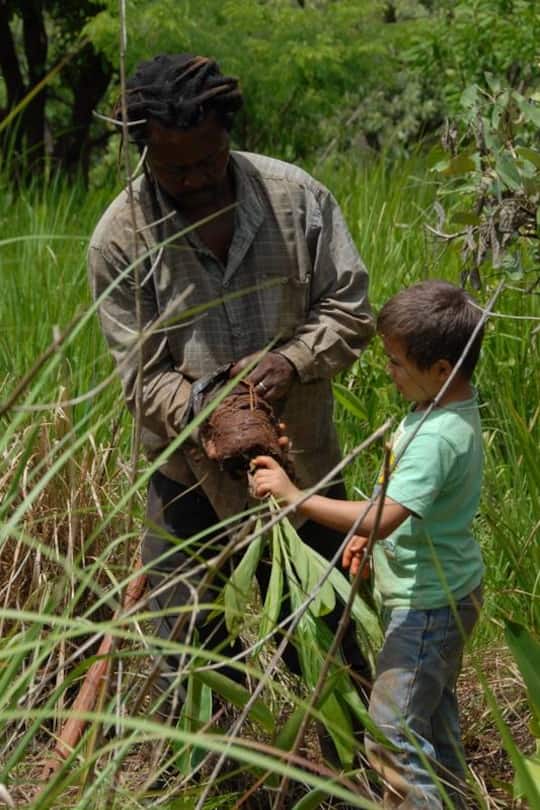 Reine Katharina Facebook Kamerun Weisse Königin My Day