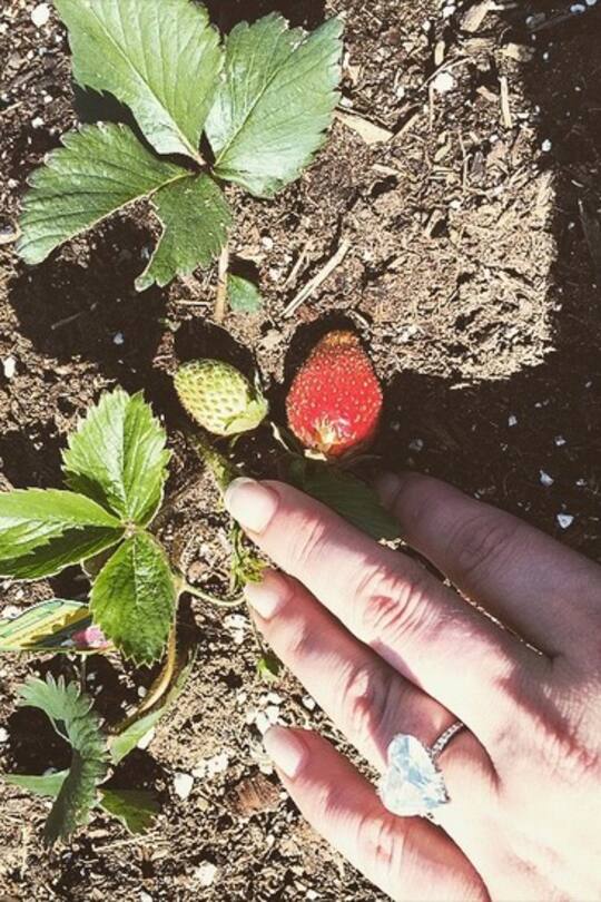 InstaTrends Lady Gaga