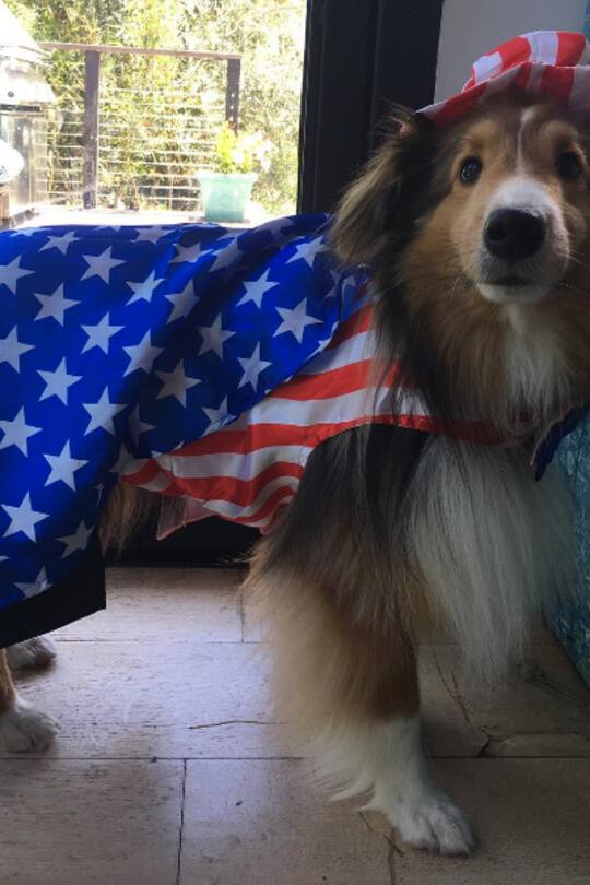 instatrend 4th of july