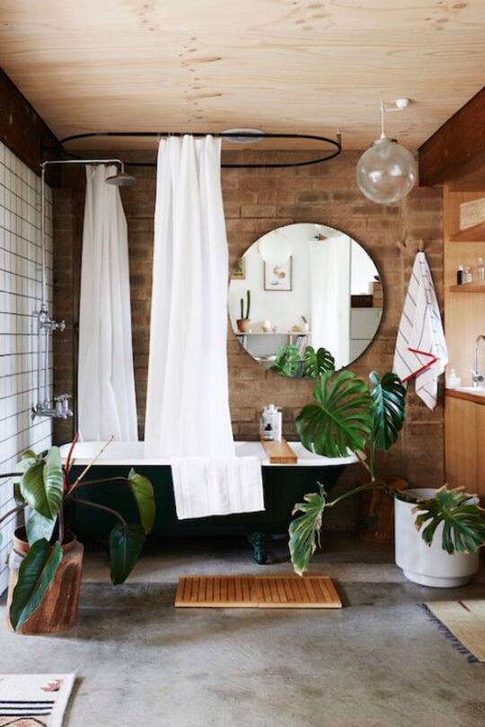 Wohninspiration Pflanzen