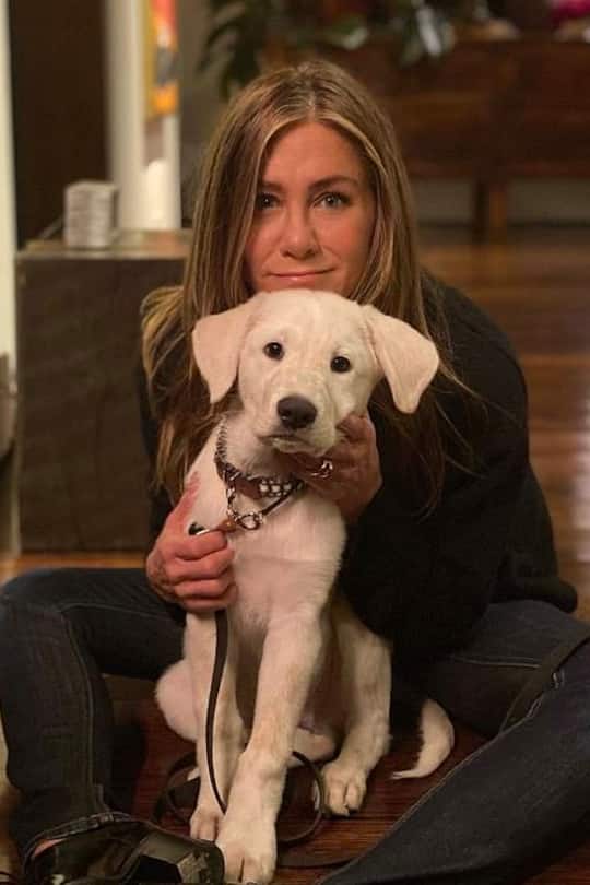 Jennifer Aniston mit Hund Chesterfield