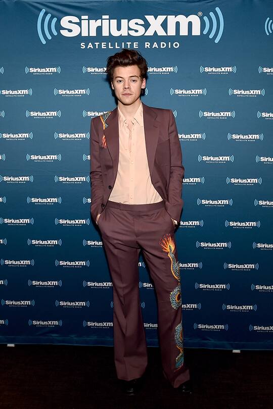Harry Styles in Gucci