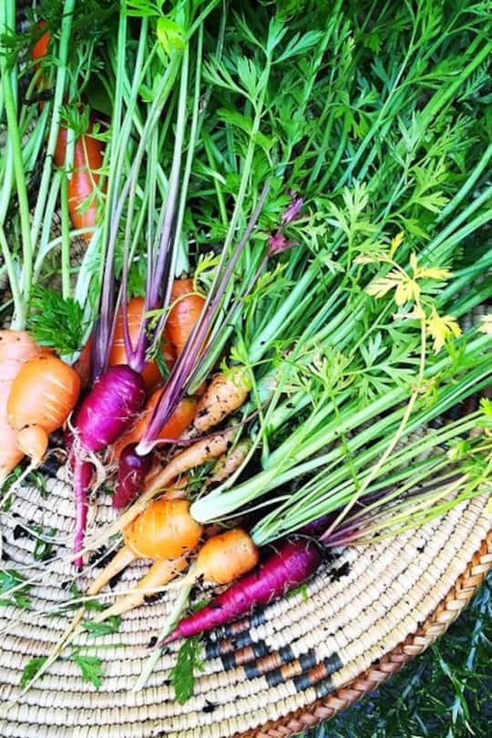 InstaTrends Nicole Richie