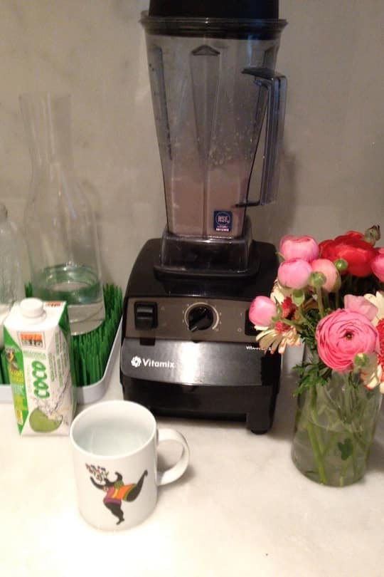 Schokoshake von Sunwarrior