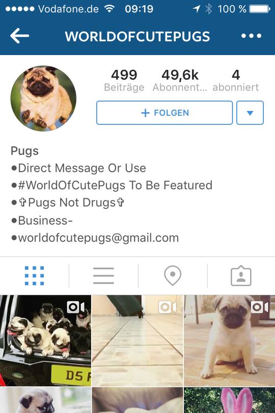 Instagram Accounts Top 10 Deborah Neufeld Blog