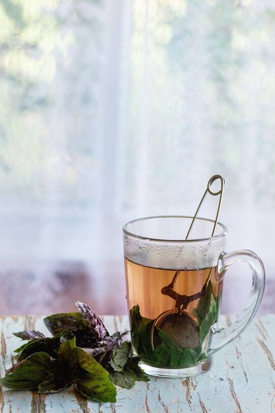 Glass cup of hot herbal tea with bunch of fresh violet basil, served with vintage tea-strainer on old wooden stool with window at background. Rustic style, natural day light. (Photo by: Natasha Breen/REDA&CO/Universal Images Group via Getty Images)