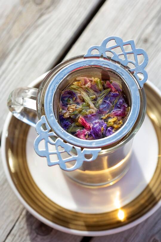 Schneeschuhlaufen mit anschliessendem Bad im Hot-Pot in der Camana in Thalkirch