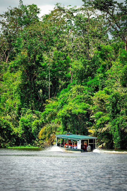 Costa Rica, Nationalpark Tortugero