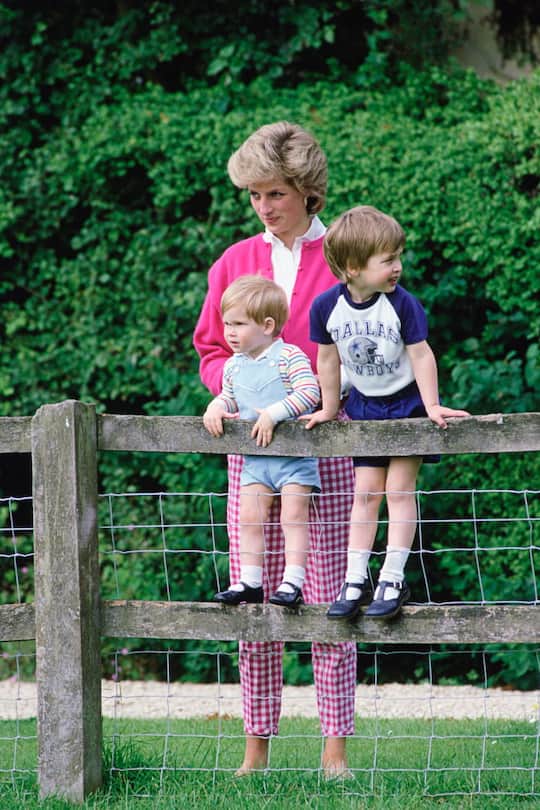 TETBURY, UNITED KINGDOM - JULY 18: Diana, Princess Of Wales With Her Sons, William And Harry In The Grounds Of Highgrove In Tetbry, Gloucestershire (Photo by Tim Graham Photo Library via Getty Images)