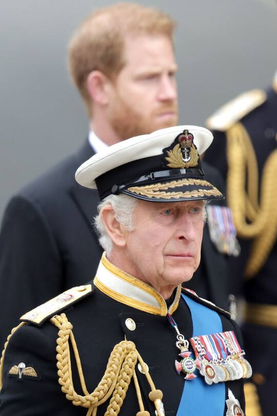 König Charles und Prinz Harry
