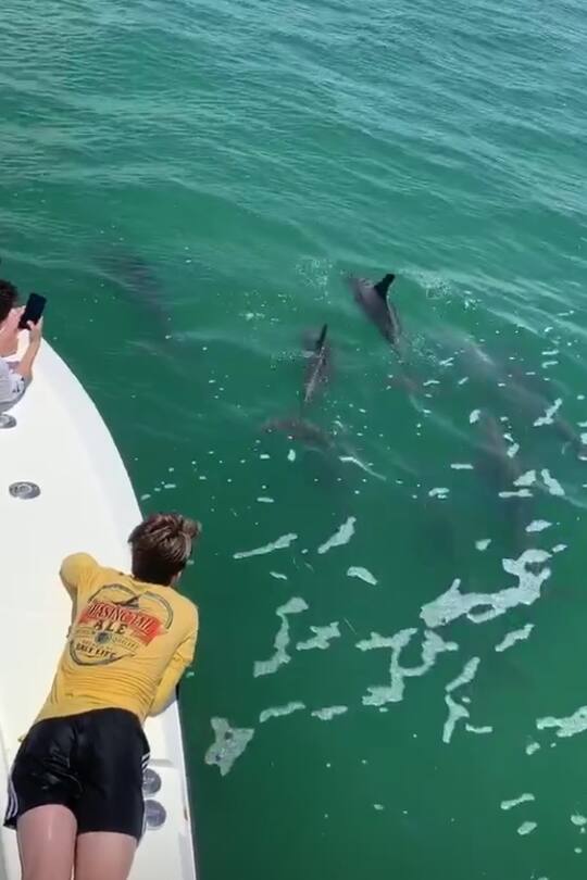 Beckham Sommerferien in Miami 2019