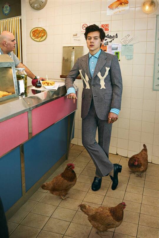 Harry Styles in der Gucci Kampagne