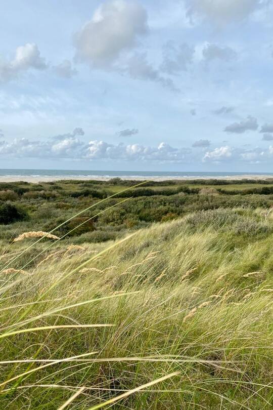 Salar Bahrampoori und Barbara Ruijs haben sich auf der westfriesischen Insel «Ameland» verlobt.