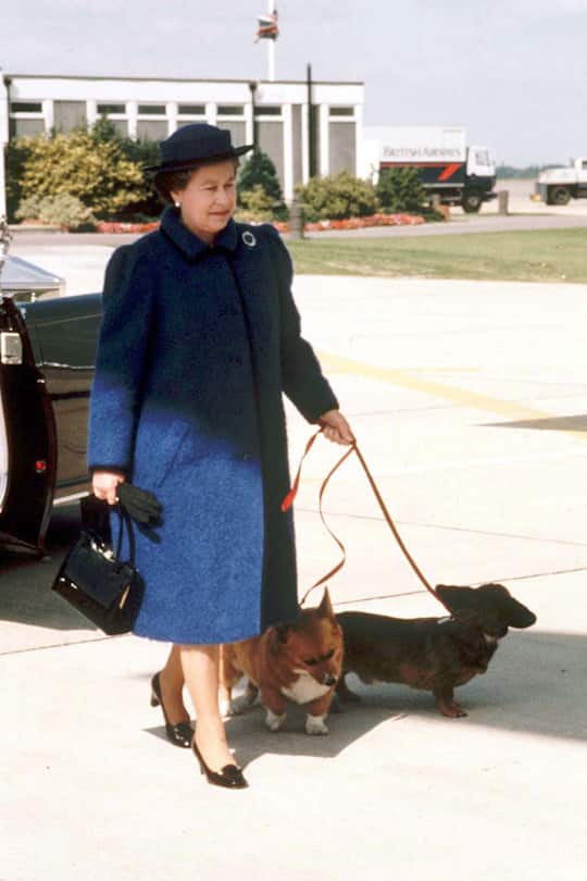 Die Schuhe der Queen in der Gallerie