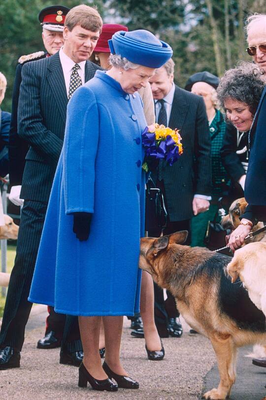 Die Schuhe der Queen in der Gallerie