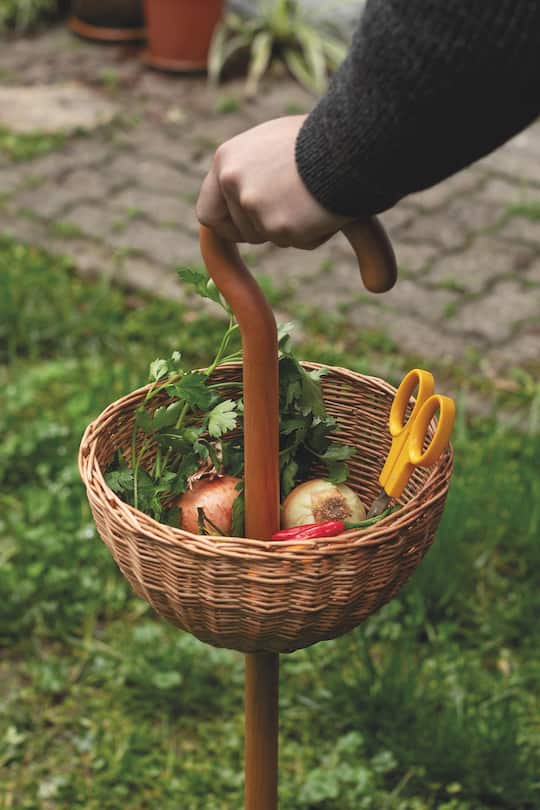 a hand holding a walking stick including a basket with onions and parsley