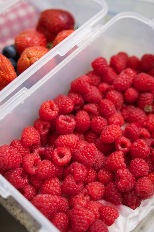 Beerensalat mit Quinoa