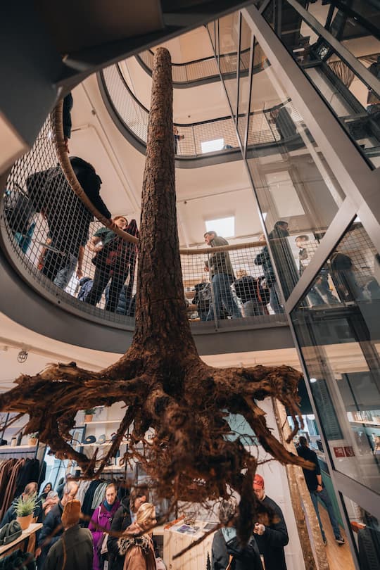 Nikin Treehouse / GRUEN Weekly 12/10