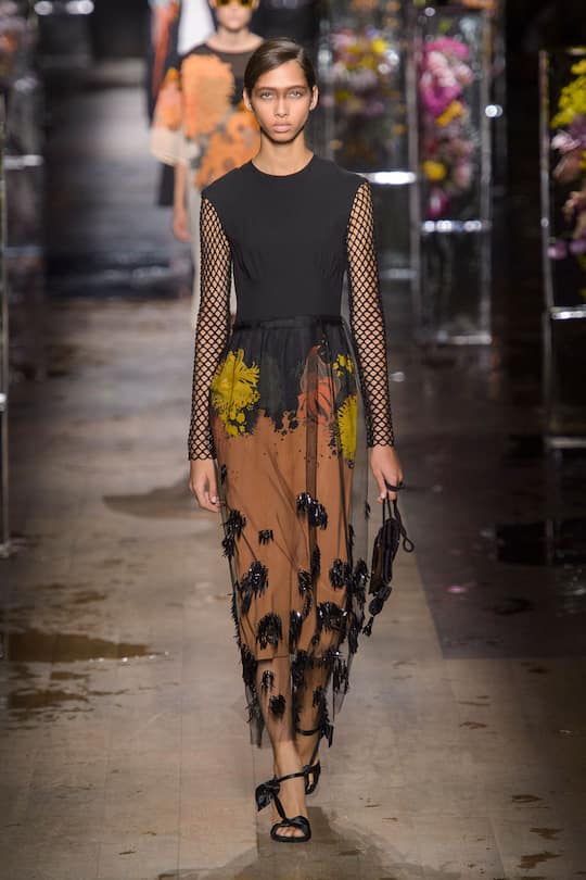 Dries Van Noten Spring Summer 2017