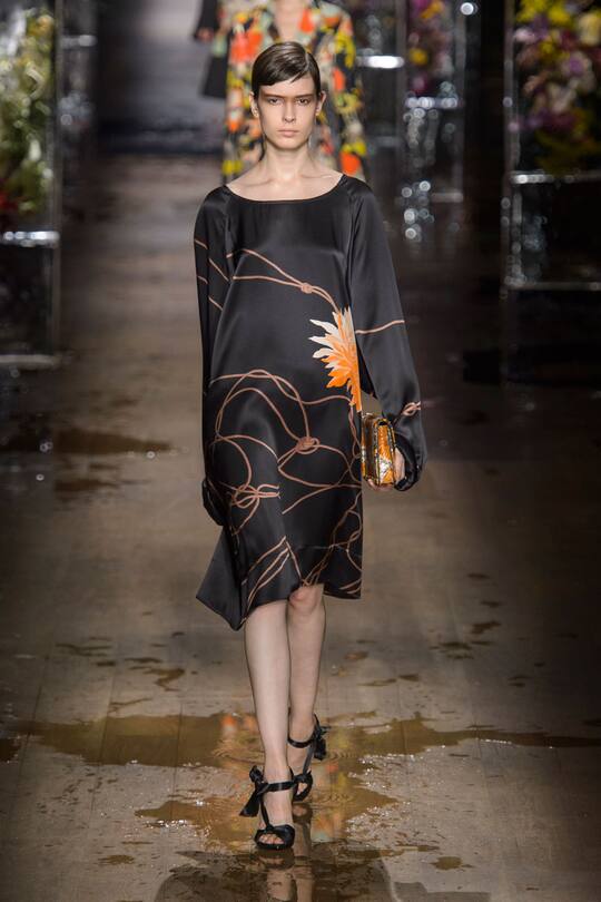 Dries Van Noten Spring Summer 2017