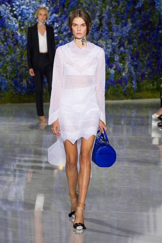 PFW Dior