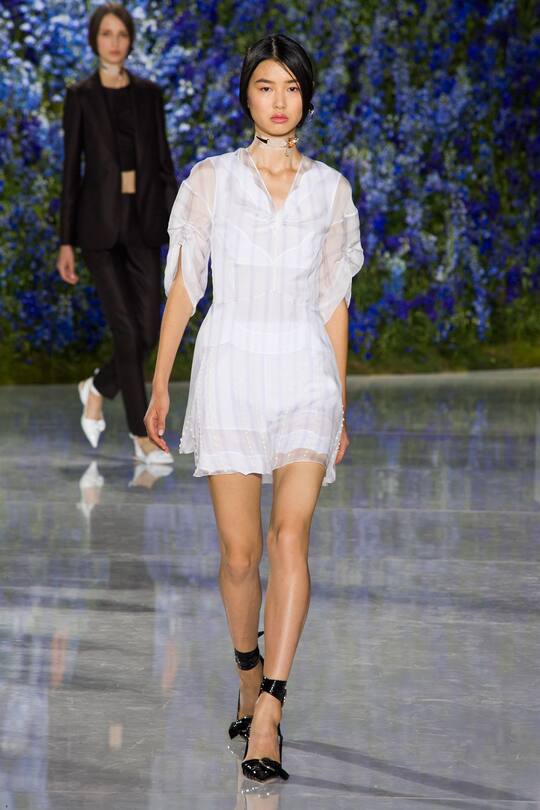 PFW Dior