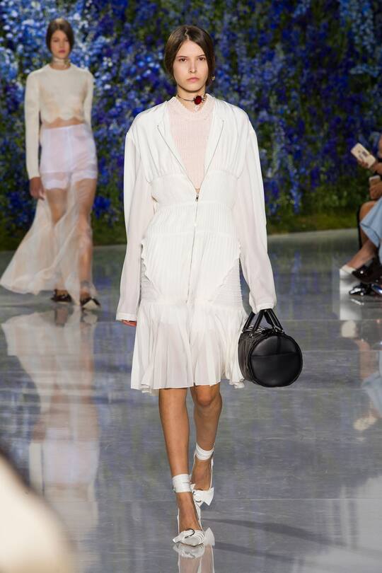 PFW Dior