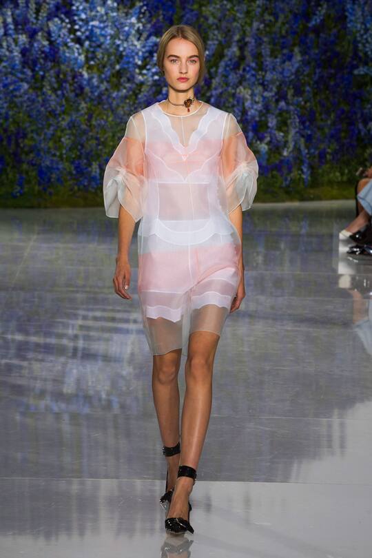 PFW Dior