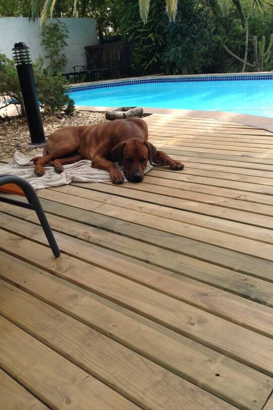 Auswandern Südafrika Reisen Klima Wetter Sacha von der Crone Africa Lodge Fynn