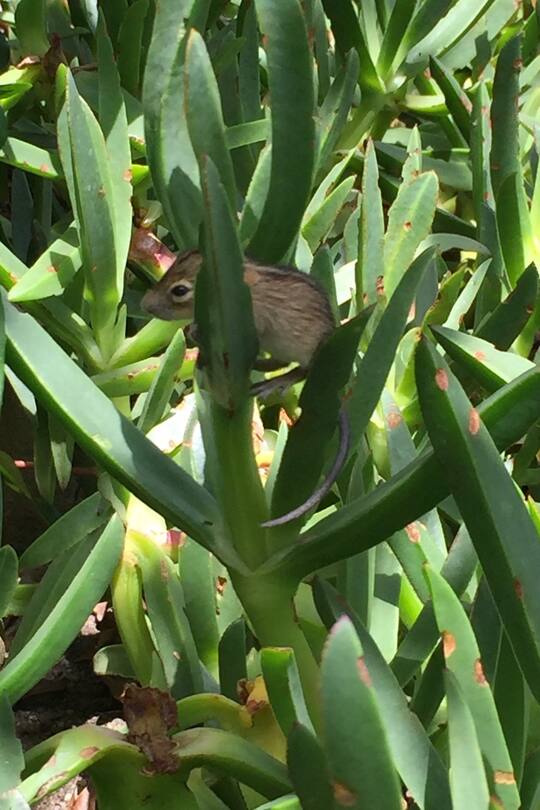 Auswandern Südafrika Reisen Klima Wetter Sacha von der Crone Africa Lodge Fynn