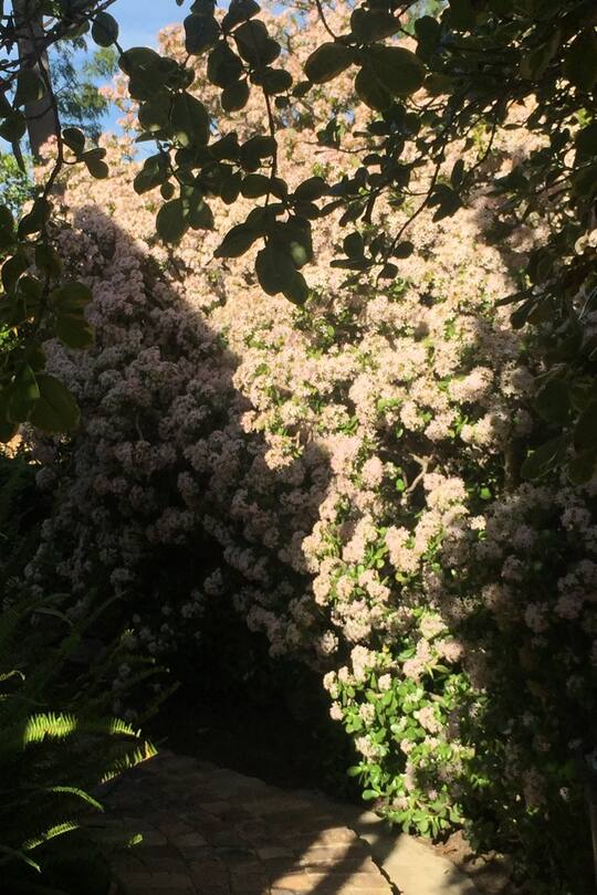 Blog Auswandern Südafrika Sacha von der Crone Alltag Leben