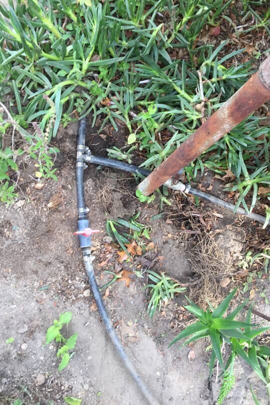 Neues Leben Südafrika Blog Sacha von der Crone