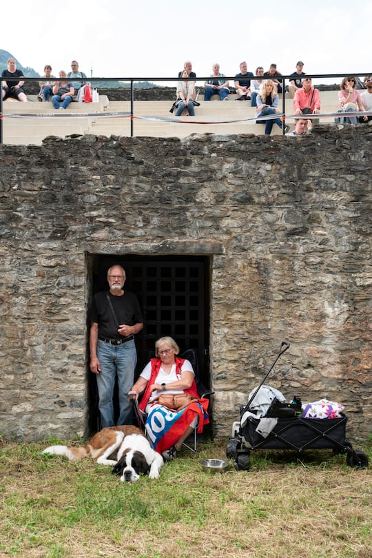 Swiss Barry, Weltunion der St Bernhard Clubs, in Martigny
