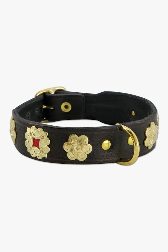 Traditionelles Appenzeller Hundehalsband aus Rindsleder mit typischen Messingverzierungen, von Appenzeller Gurt von Hand gefertigt.