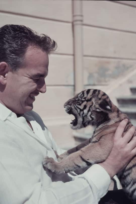 Fürst Rainier kuschelt mit einem Baby-Tiger.