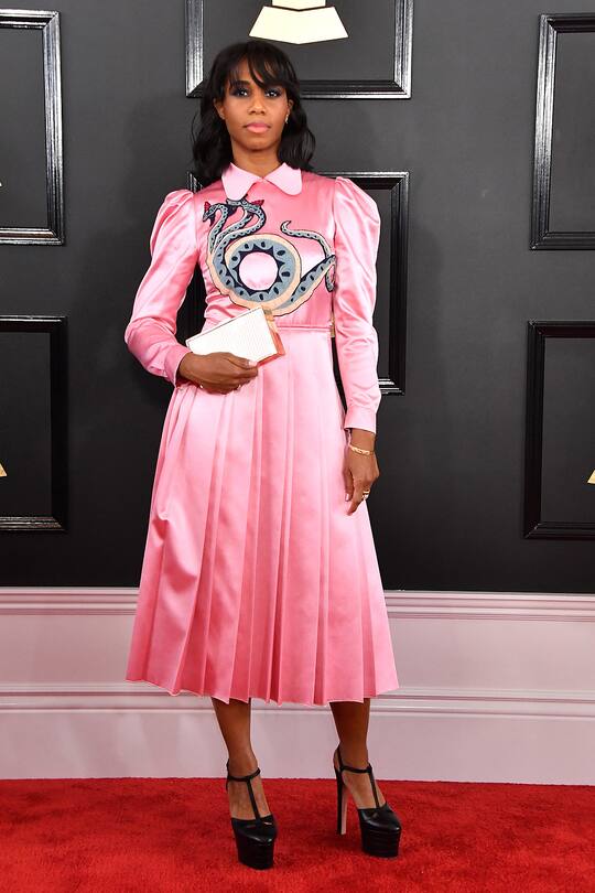 Grammys 2017 Red Carpet