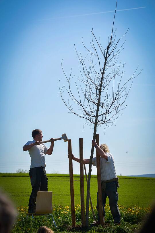 André Häfliger Blog: