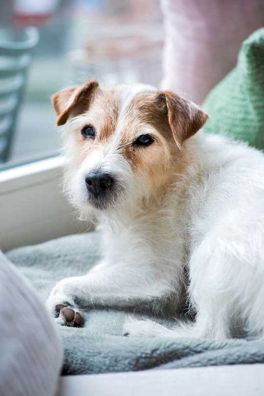 Karin Keller-Sutter SI Ausgabe 09.03.2018