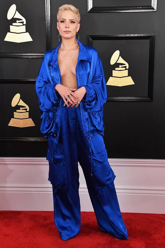 Grammys 2017 Red Carpet