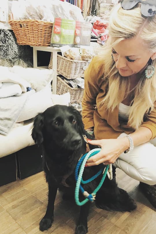 Welthundetag 2018 Stars und ihre Hunde