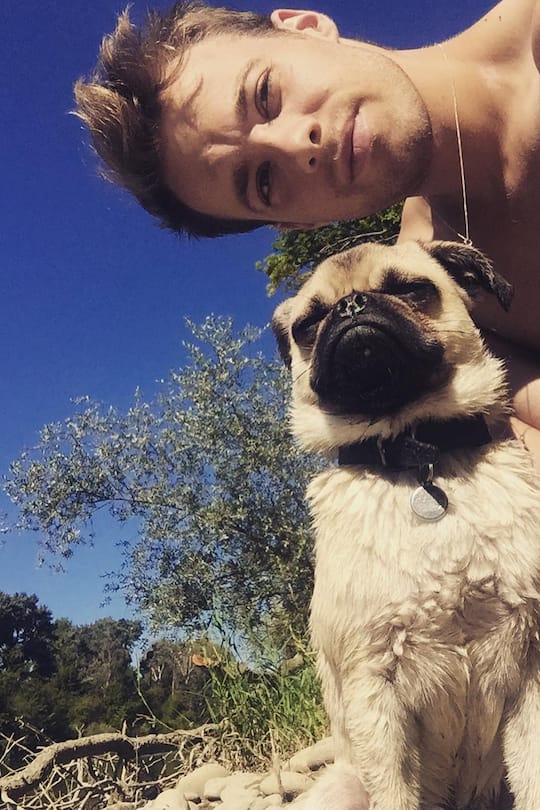 Welthundetag 2018 Stars und ihre Hunde