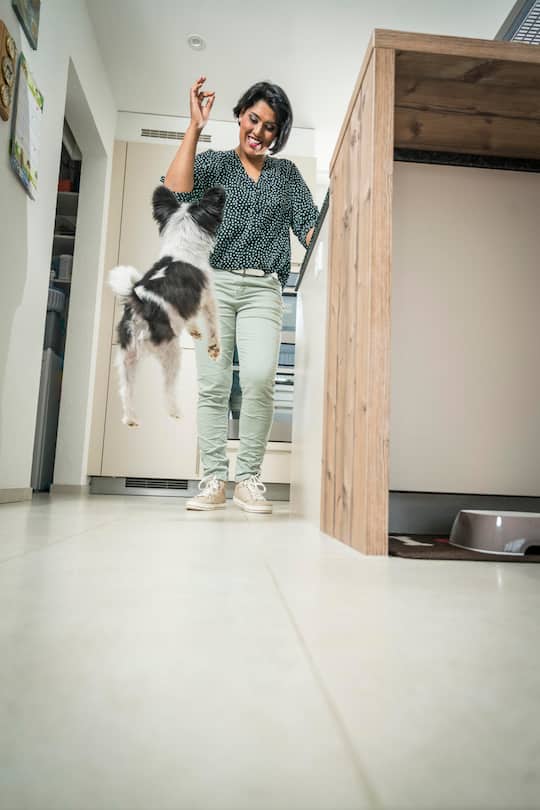 Foto: Joseph Khakshouri 18.04.2019 Homestory bei Alpenraudis-Frontmann Dani Sparn und Sarah-Jane Leckerli Spiel mit Hund Rothenfluh (BL)